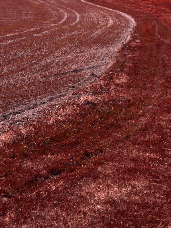 © Sophie Thammer © Sophie Thammer