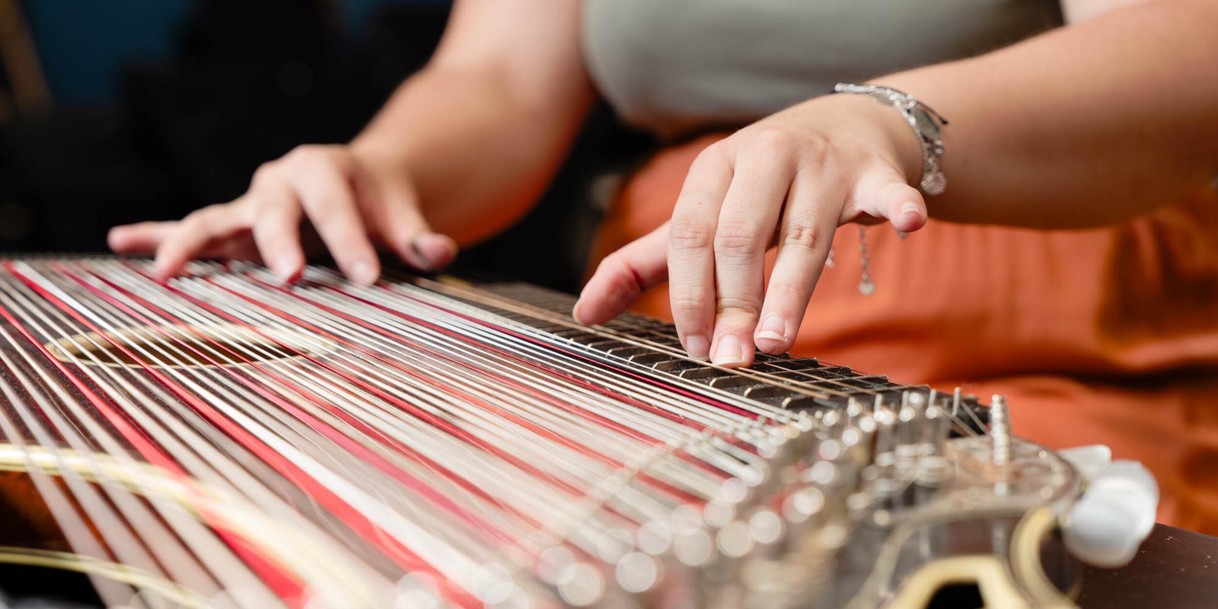 Zither | © Michael Klimt