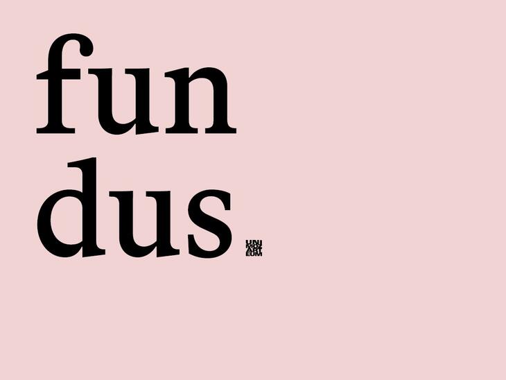 Fundus