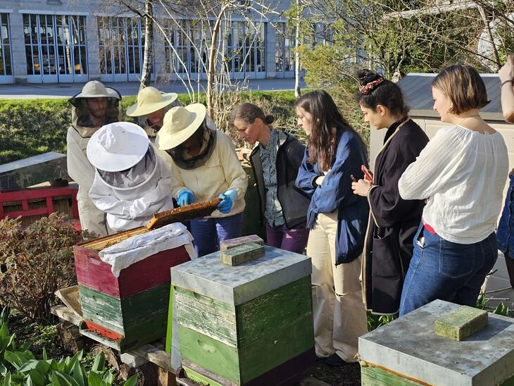 Agnes Scherer / Wir schwärmen für den Bienenstock | © Magdalena Haller