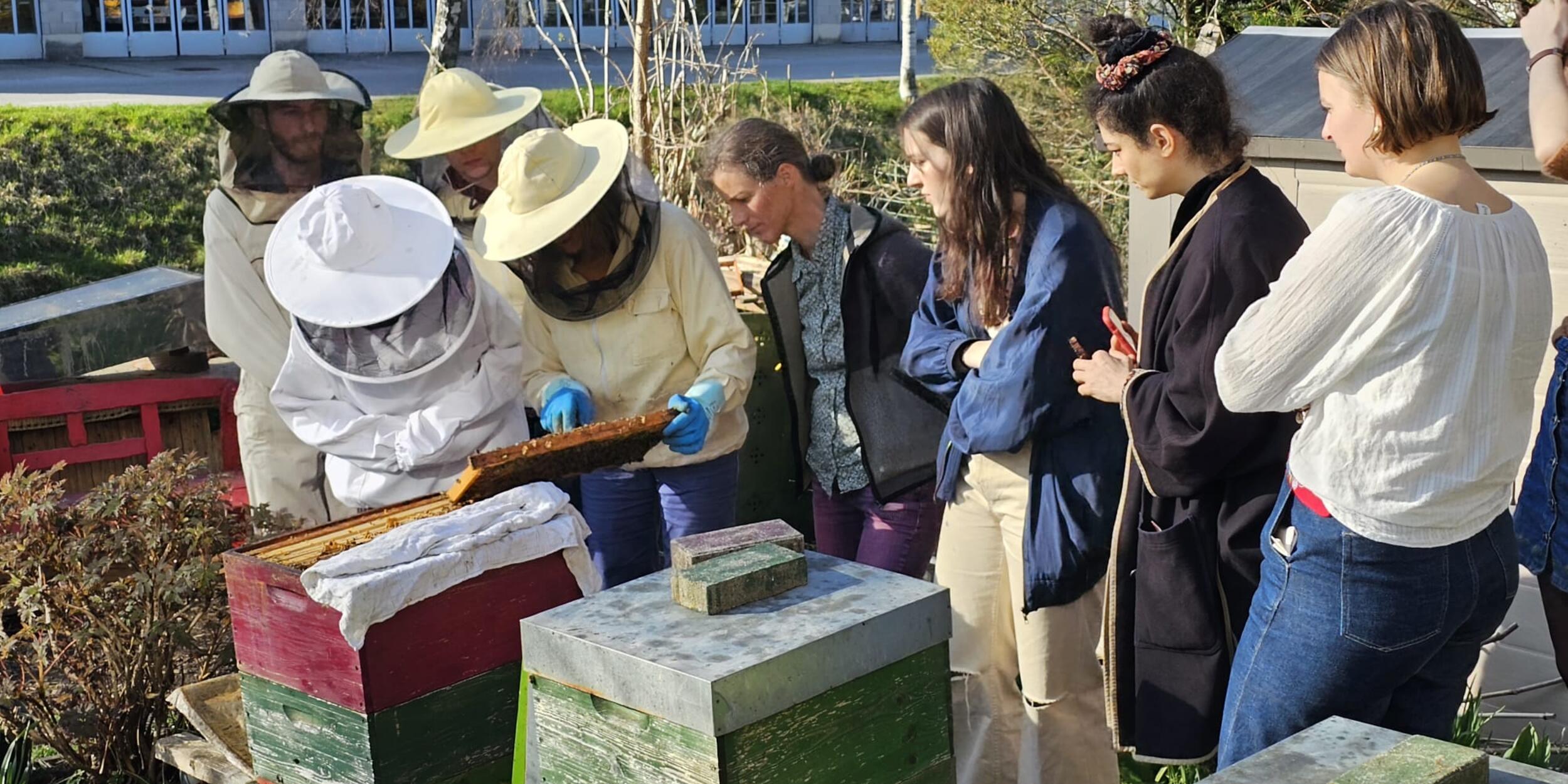 Agnes Scherer / Wir schwärmen für den Bienenstock | © Magdalena Haller